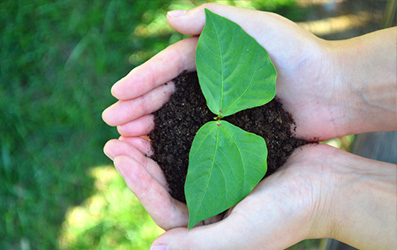 mg不朽情缘(中国)官方网站