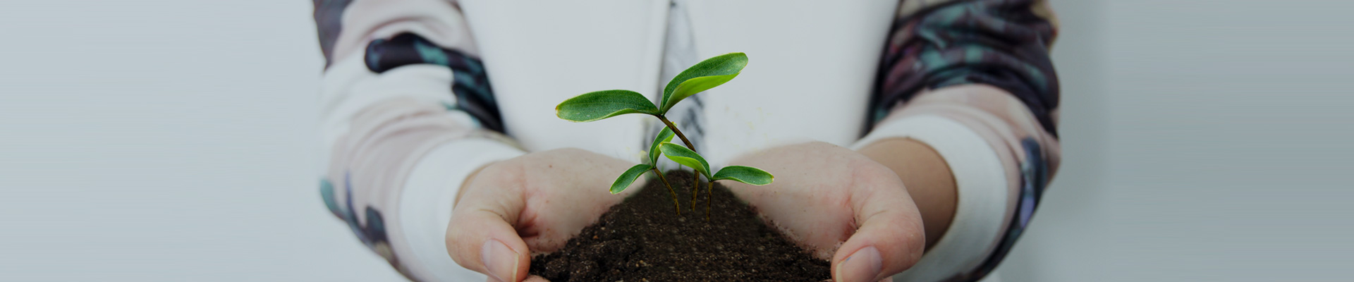 关于mg不朽情缘